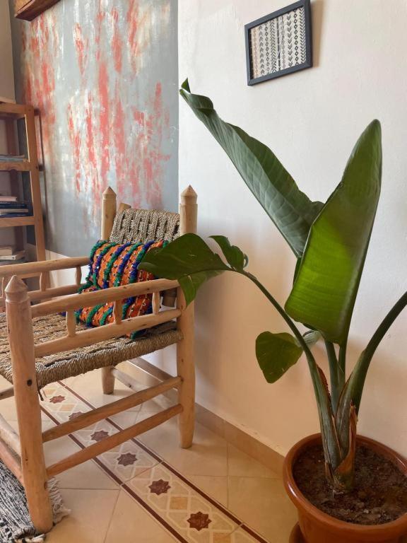 Surf Camp Essaouira Bed and Breakfast Εξωτερικό φωτογραφία